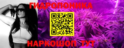 молекула духа Кулебаки
