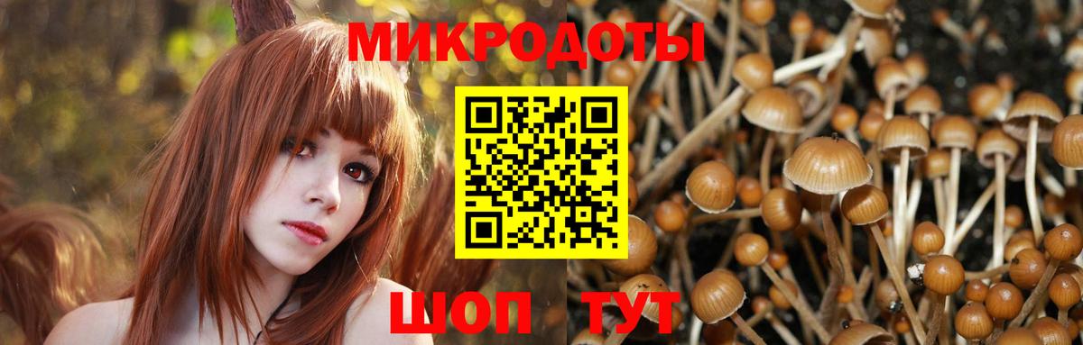 Галлюциногенные грибы Psilocybine cubensis Ялта